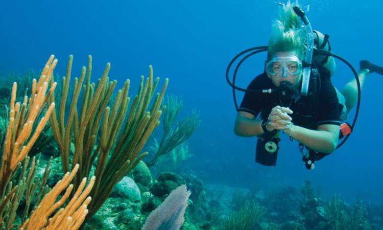 PADI COURSE – PROJECT AWARE SPECIALIST