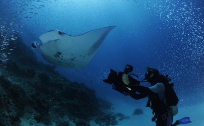 Advanced Adventure Dive Package Hurghada