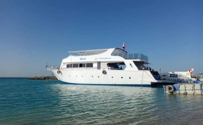 Hot Deal! Daily Diving Adventure – Red Sea Life Diving Center